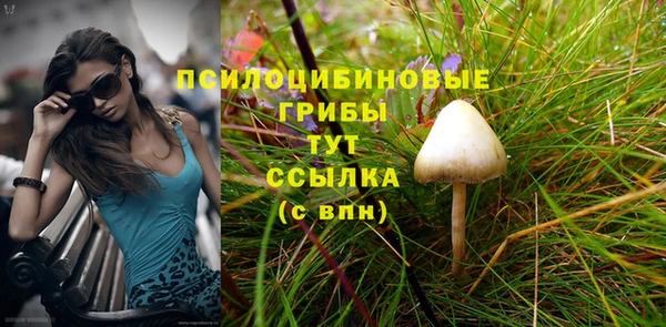 a pvp Алексин