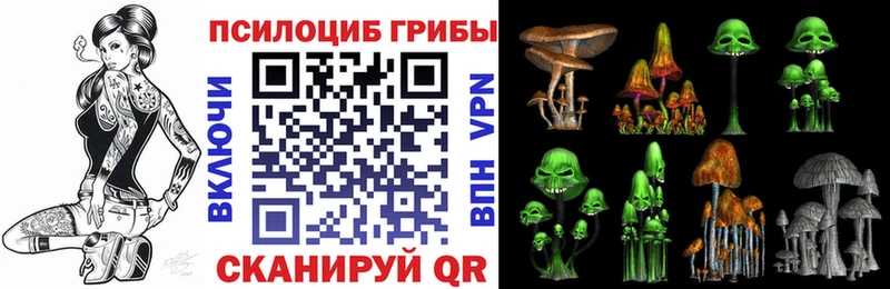 кракен как зайти  Богучар  Псилоцибиновые грибы прущие грибы  цены  